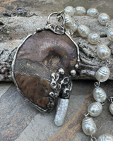 Ammonite and Pearl