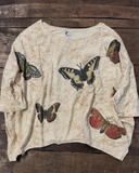 Jaded Gypsy Butterfly